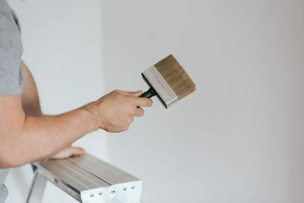 A man on top of a ladder holding a wide flat brush, Sustainable Paint Disposal Methods