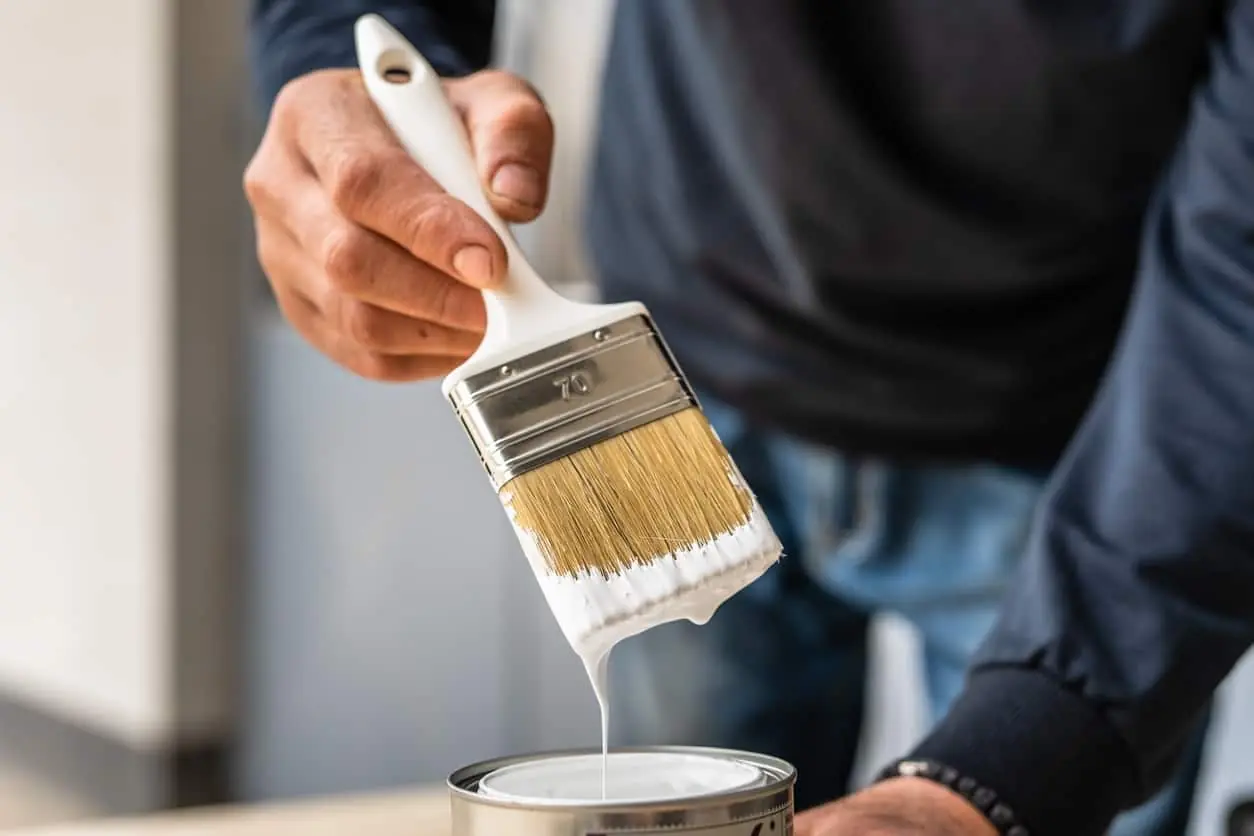 Professional Painters, Sustainable Paint Disposal Methods